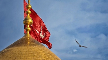 Arbaeen, Journey of Zealous Hearts (6)