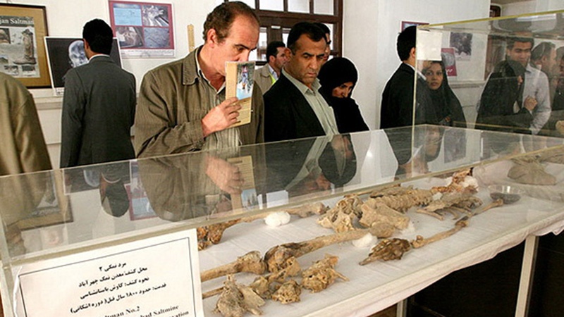 ソルトマンに会ってきた！