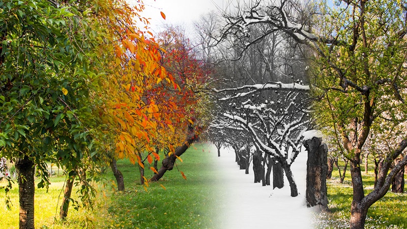 La saison de votre naissance influence votre personnalité