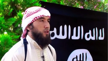 Участие граждан Кыргызстана в боевых действиях в Ираке и Сирии сокращается