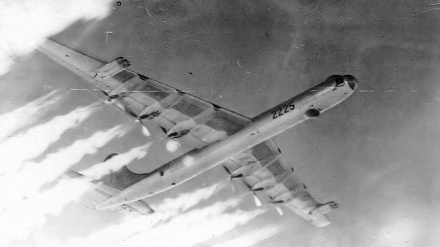 Canada: cerca cetrioli di mare e trova una bomba atomica