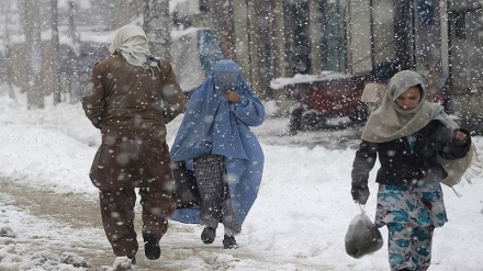 برف و بهمن در افغانستان با پنج کشته
