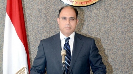 埃及和俄罗斯官员就解决叙利亚危机做出强调