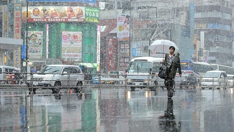 東京の降雪