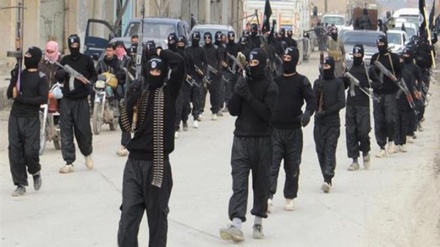 افشای نقش آمریکا در تشکیل داعش 