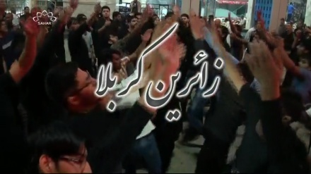 Enlutados peregrinos en camino hacia  ciudad de Karbala, Irak