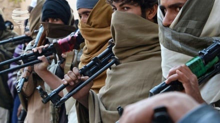 Taliban, Arabistan'ı uyardı