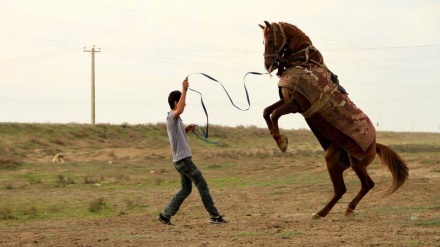  Milano Inte. FICTS Fest 2016 , menzione d’onore a “Atlan” dall’Iran