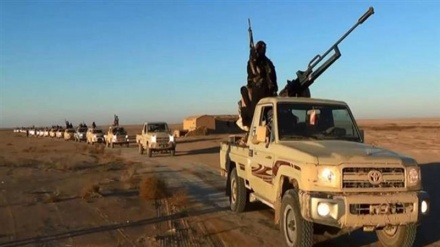 数百名达伊沙恐怖组织成员家属在塔拉法尔被捕