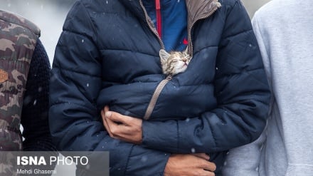 Prvi jesenji snijeg u Teheranu 