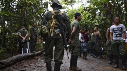 Two FARC rebels killed in Colombia