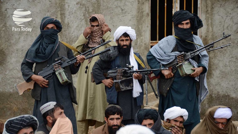 واکنش طالبان به کشته شدن کارمندان صلیب سرخ : حمله به کارمندان صلیب سرخ ارتباطی با طالبان ندارد، برای مجازات عاملان آن تلاش می‌کنیم