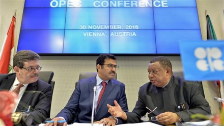 OPEC agrees first oil production cut in 8 yrs: Informed source