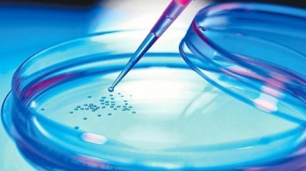 تشخیص سلول‌های سالم از ناسالم با روش رنگ‌آمیزی توسط پژوهشگران ایرانی