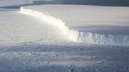 Virus Purba Bangkit!