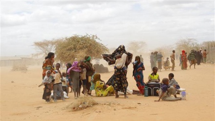 Amnesty raps Kenya for eviction of Somali refugees 