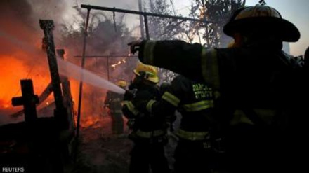 İşgal güçleri Filistinlileri tutukladı 