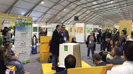 COP22, si discute di agricoltura biologica