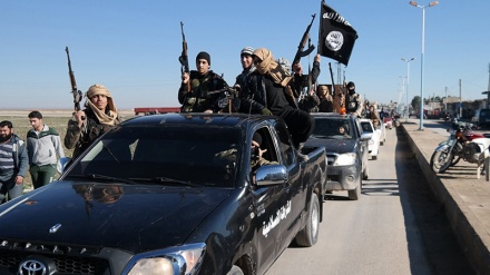 How ISIS is getting its adolescent fresh blood                 