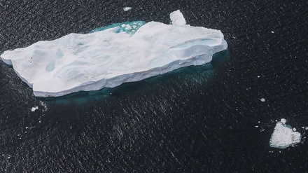 南極の冬の海氷面積が過去最小を大幅更新、気候変動に懸念