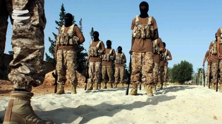  Ejército libio: Daesh  está renovando sus fuerzas