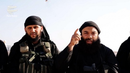 Tunuslu teröristlerin sayısı açıklandı