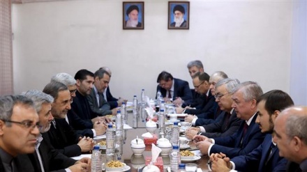 Bans renewal, US revenge for gains by Iran, allies: Velayati