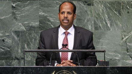 জিবুতিতে সামরিক ঘাঁটি স্থাপন করতে চায় সৌদি আরব