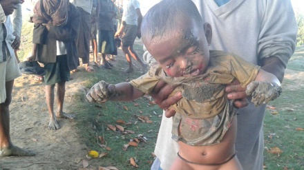 Myanmar military behind torching of Rohingya villages: HRW