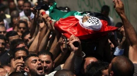 Kudüs intifadasından beri 282 Filistinli şehit oldu