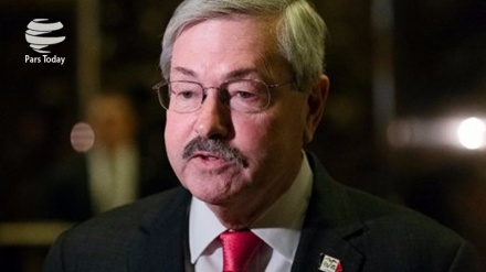 美国驻华大使候选人：在朝鲜问题上将采取强硬措施