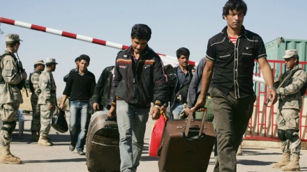 اخراج 50 نفر از پناهجویان افغان از کشور آلمان