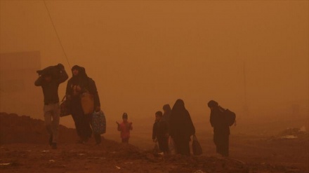 Daesh detonou um petroleiro em Mosul