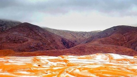 Cambiamenti climatici, il Sahara si trasformerà in savana nei prossimi 100 anni