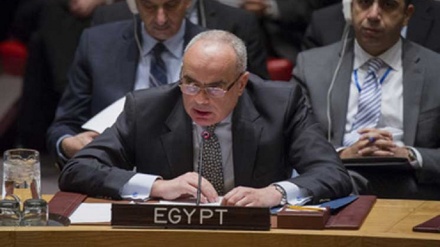 埃及对部分国家停止支持叙利亚恐怖分子做出强调