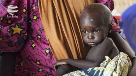 Njaa yawanyemelea maelfu Nigeria kutokana na ugaidi wa Boko Haram