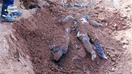 সিরিয়ার ইদলিবের গণকবর থেকে ১৩১ লাশ উদ্ধার