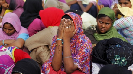 伊斯兰合作组织要求缅甸停止野蛮行径