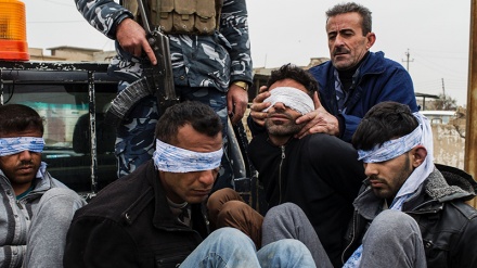 Arrestohen 12 terrorist në Tikrit të Irakut