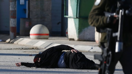 Vajza palestineze plagoset nga plumbat e ushtarëve izraelitë