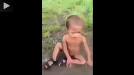 म्यांमार से आया एक ऐसा वीडियो जिसने इंसानियत को किया शर्मसार + वीडियो