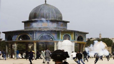 Rund 15.000 Israelis stürmten Al-Aqsa-Moschee im Jahr 2016