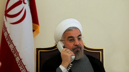 OPEC member states must work for stable oil market: President Rouhani