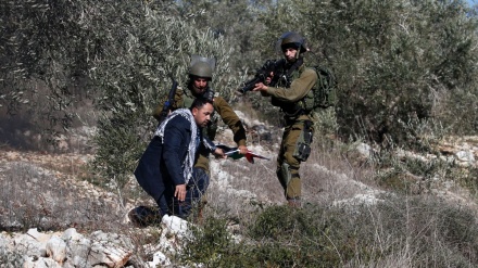 Forcat ushtarake të regjimit sionist arrestojnë 10 palestinezë