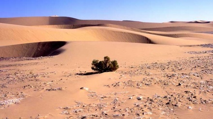 地域、国際的な砂漠化対策