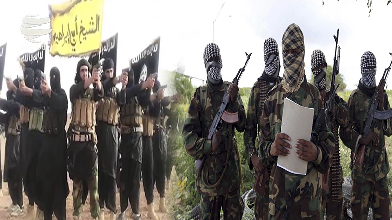 فایننشال تایمز: القاعده و داعش در حال ایجاد جبهه مشترک علیه طالبان هستند
