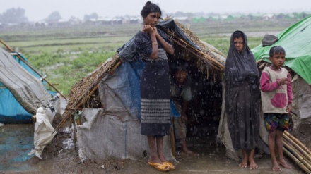 50 mijë myslimanë Rohingia shpërngulen për në Bangladesh