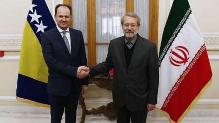 イラン国会議長、世界の治安確立に向けたイランの絶え間ない努力を強調