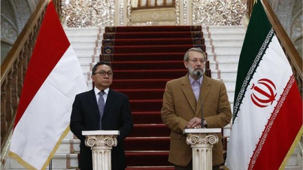 Muslims must boost consultation on terror fight: Larijani