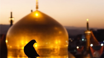 Ғариби Хуросон